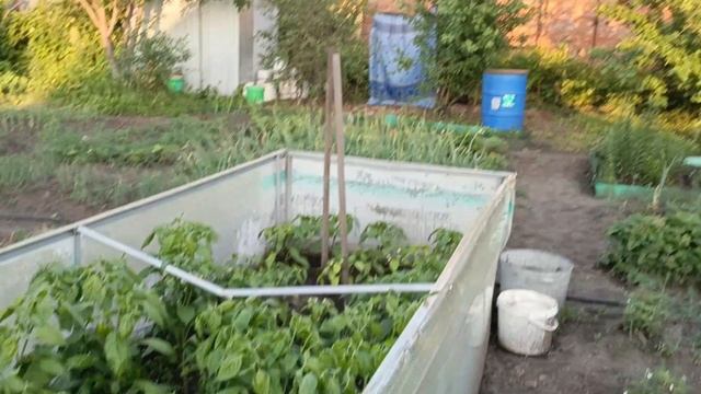СНТ Лесное - участок на продажу