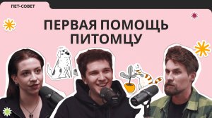 Первая помощь питомцу | Подкаст «Пет-совет»