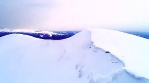 Пение птиц и звуки природы для спокойного сна души - Часть 12