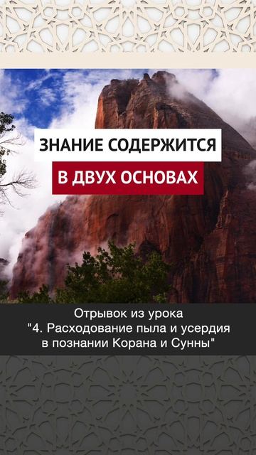 Знание содержится в двух основах || Динар абу Идрис #ислам #факты #истина #вера #коран #аллах #намаз