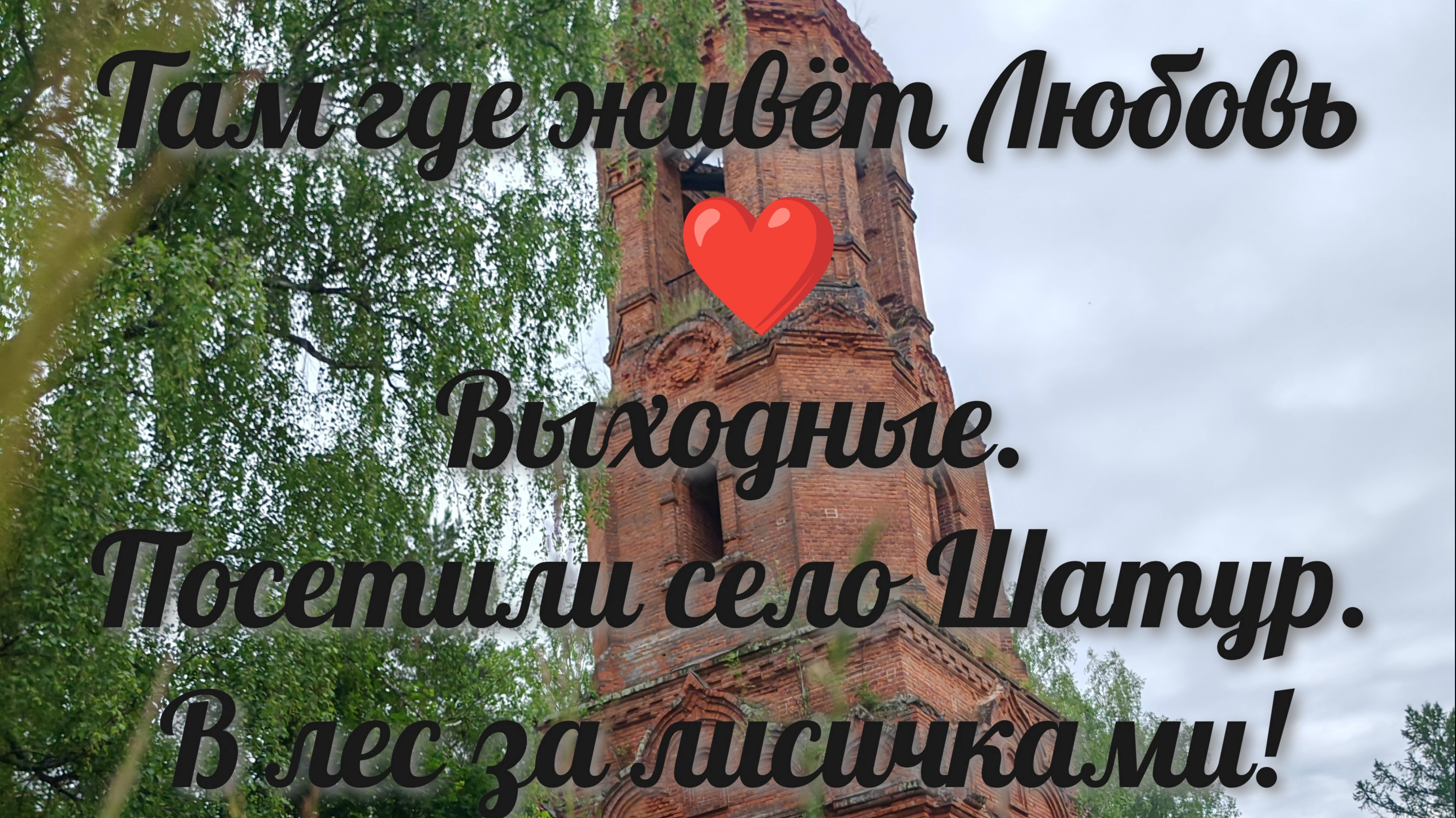 #19 Выходные. Посетили село Шатур. В лес за лисичками!
