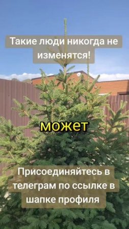 Такие люди никогда не изменятся!