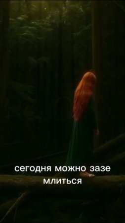 1000102265.mp4