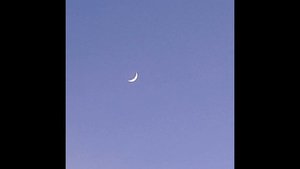 𓆩всё хорошо𓆪