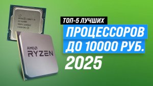 ТОП–5 недорогих процессоров в 2025 году: Как выбрать бюджетный до 10000 рублей?