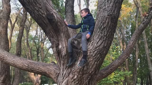 Выходные на Крестовском острове и на Ласковом пляже
