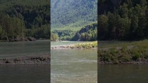 Жаркие дни на реке Урсул: Туристы купаются и загорают в Алтае ☀️💦