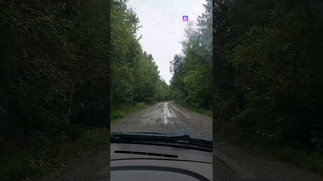 Дома скучно
