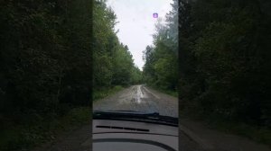 Дома скучно
