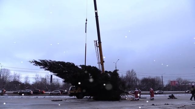 Губернатор Владимир Сипягин и новогодняя елка