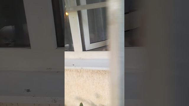 Хороших выходных всем)