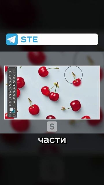 ОСНОВЫ PHOTOSHOP №7: РАЗБОР ИНСТРУМЕНТОВ #photoshop #дизайн #фриланс смотреть онлайн