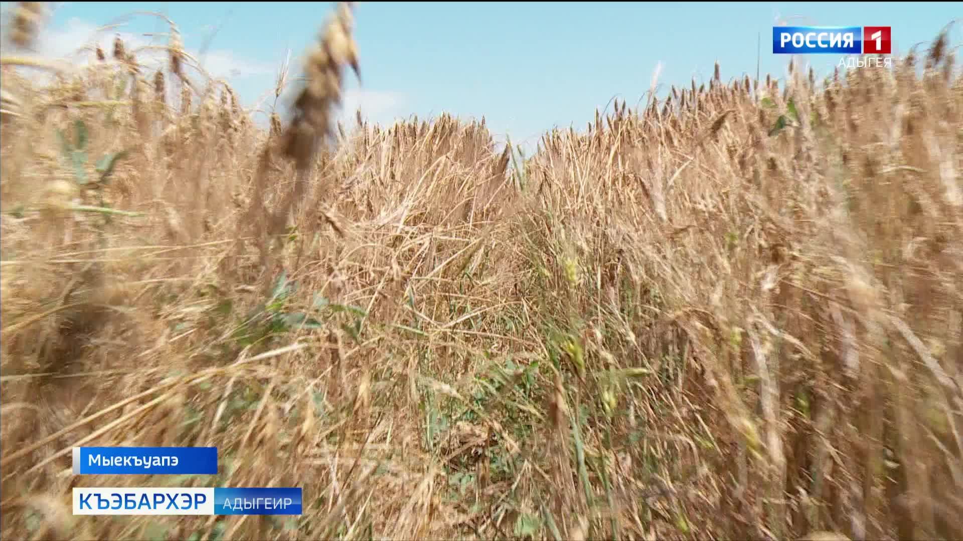9.44 – «Къэбархэр»  от 23.06.2025г.