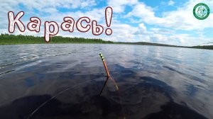 СДЕЛАЛ ПОПЛАВОК НА ХОДУ И ДЕЛО ПОШЛО! ОЗЕРО В ТАЙГЕ, КАРАСЬ КЛЮЁТ КАК ИЗ ПУЛЕМЁТА, РЫБАЛКА НА УРАЛЕ!