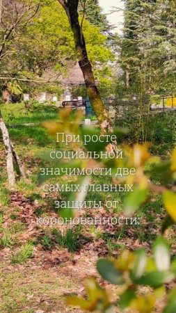 Две защиты от коронованности. (с) Дарья Корякина. Виктория Калинина - ЦЭХ