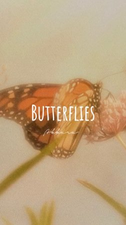 Группа «Аккара» - Butterflies