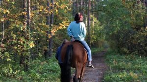Прогулка верхом на лошадях в лесу