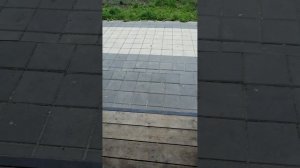 Нашли домики, взаимная подписка