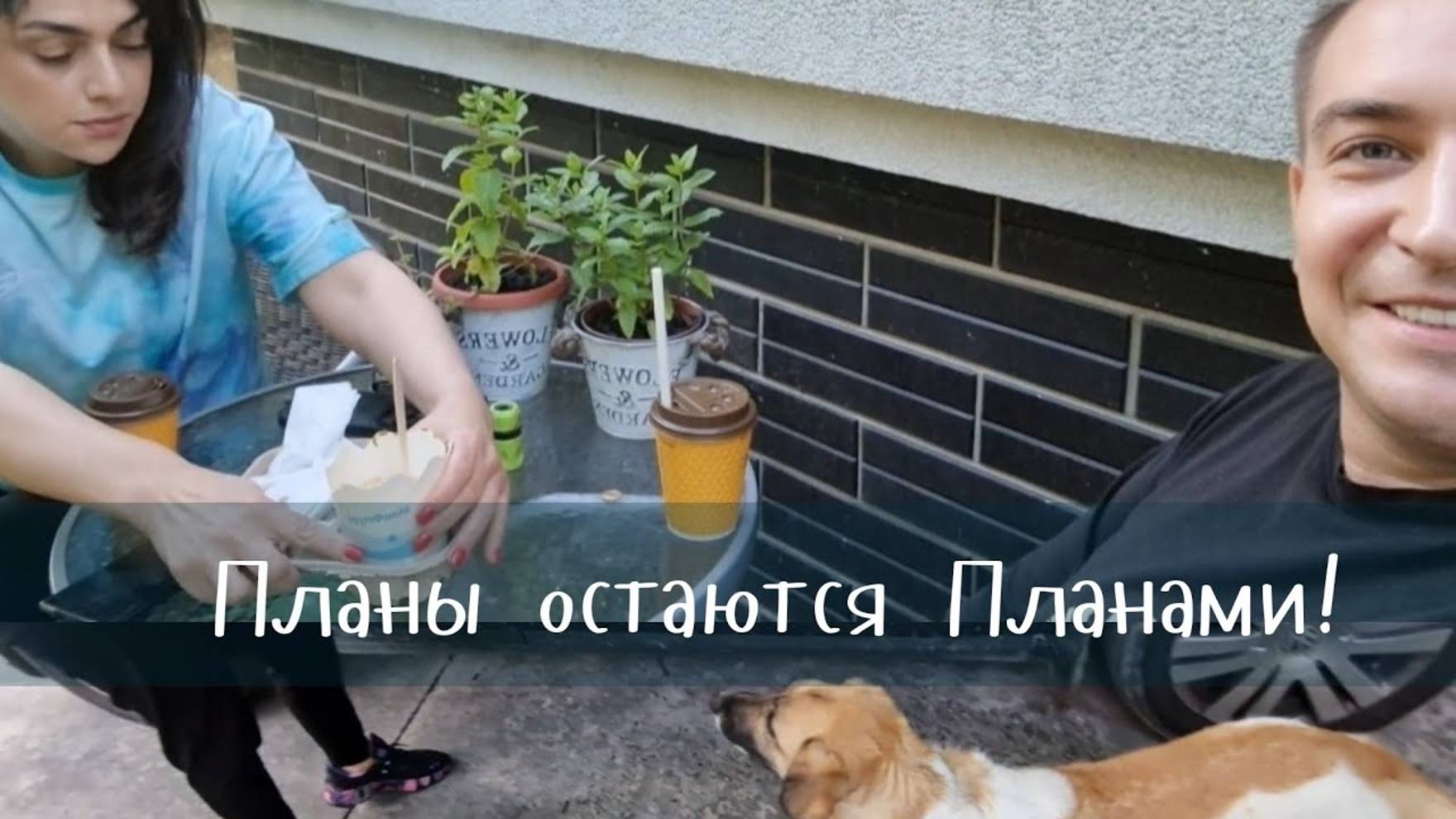 Гарик и Керри- Сажаем до темноты - Планировать,.  не значит  сделать!