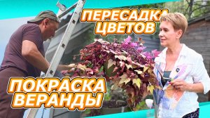 ПЕРЕДЕЛКА ВЕРАНДЫ финал ДАЧА #11 | ВЛОГ ДАЧА САД ДОМ | КРАСИМ САЖАЕМ ОБУСТРАИВАЕМ