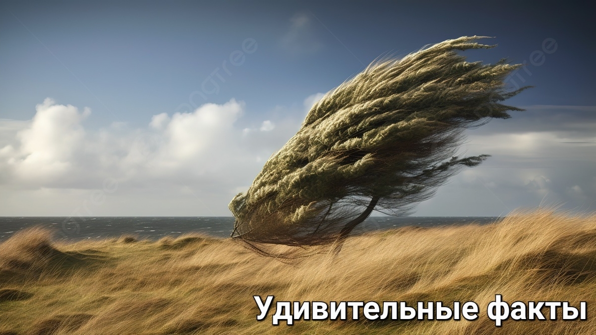 Удивительные факты о ветре: от мифов до науки