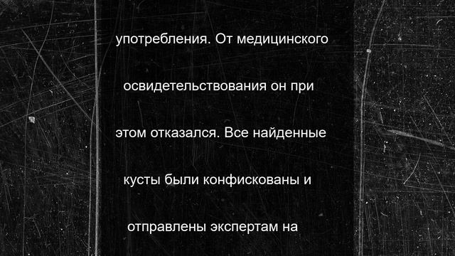В домовладении одного из сел Горностаевского округа обнаружили коноплю