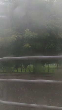 Дождливый день 23 июня 2025🌧️☔⚡Свежесть и прохлада #дождь #ливень #лето #summer #rain #город #city