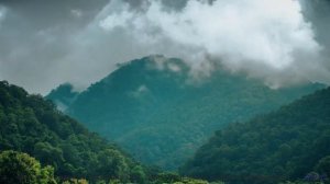 Никогда не видел таких полей под такой саунд - Rock This House (Instrumental) -- Anthem of Rain -- F