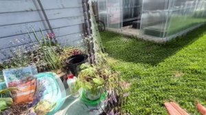 В своём доме и в своём дворе дела всегда найдутся.