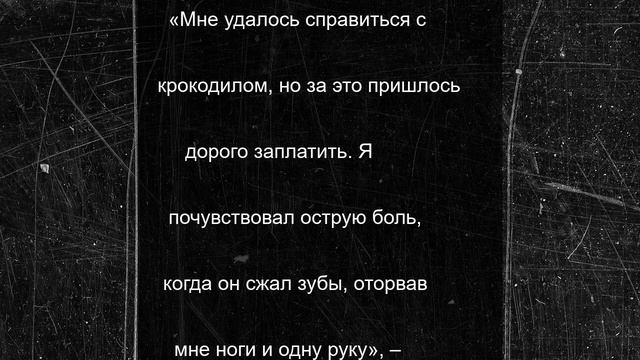 Крокодил оторвал ноги и руку у кричащего мужчины, но ему удалось выжить