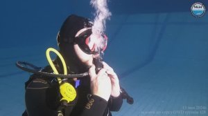 2024_05_15 - Экзамен по курсу OWD группы 428