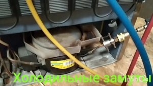 ремонт холодильника стинол