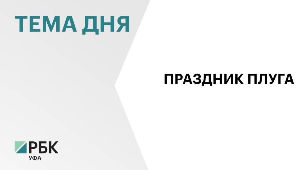 В Краснокамском районе производство сельхозпродукции по итогам 2024 г. превысило ₽3 млрд