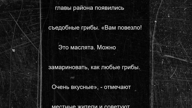 Глава Боровского района ищет помощи у грибников