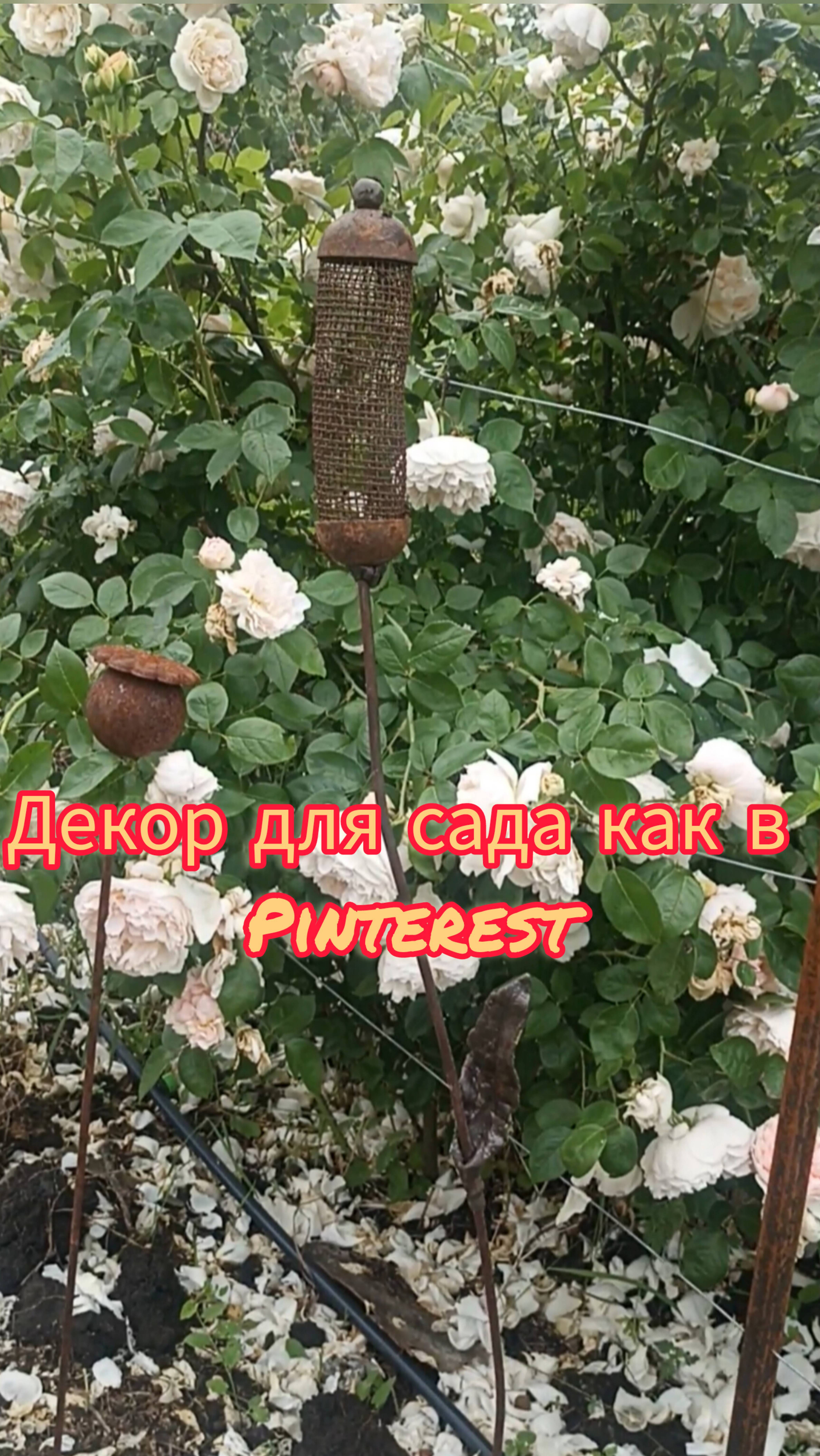 металлический декор для сада как в Pinterest #gardening #сад #садоводничество #former #garden