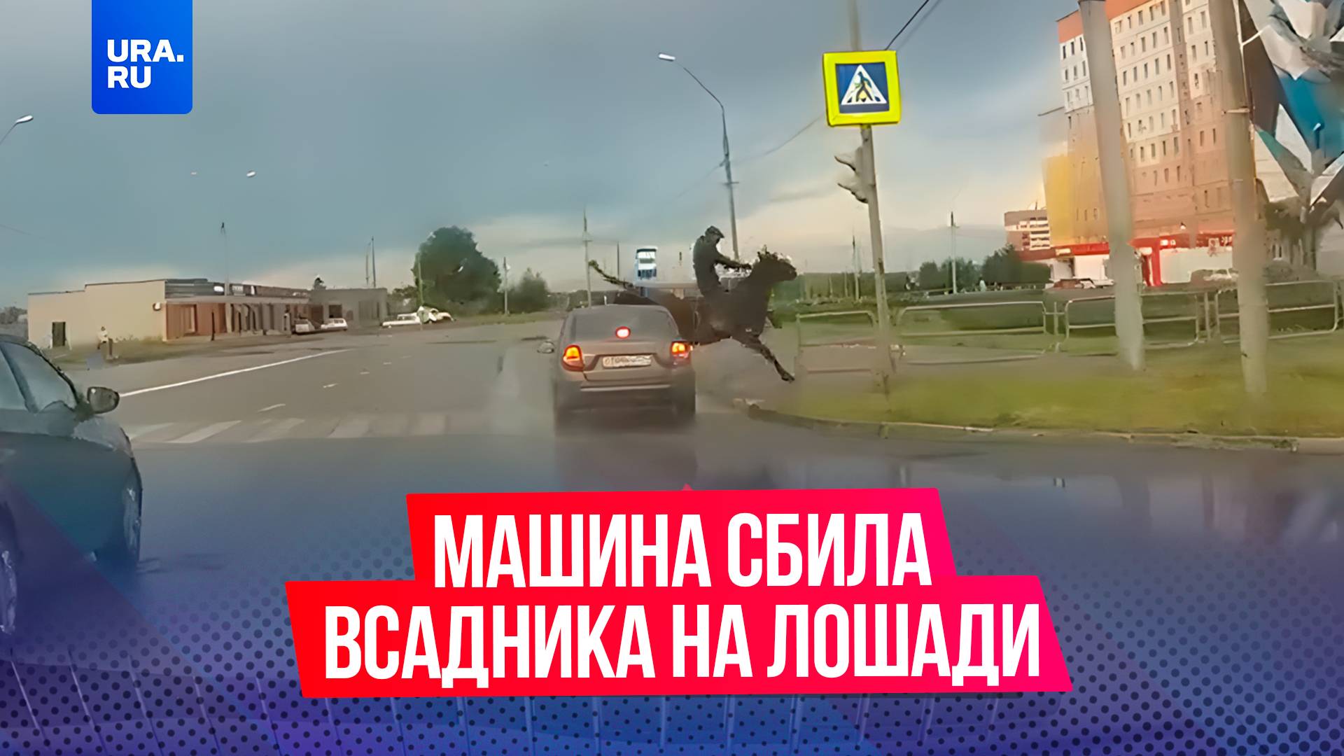 Машина сбила всадника на лошади в Магнитогорске