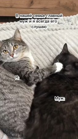 Только он у меня молчаливый)