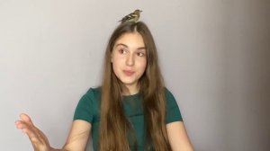 Лиза Пахомова, визитка
