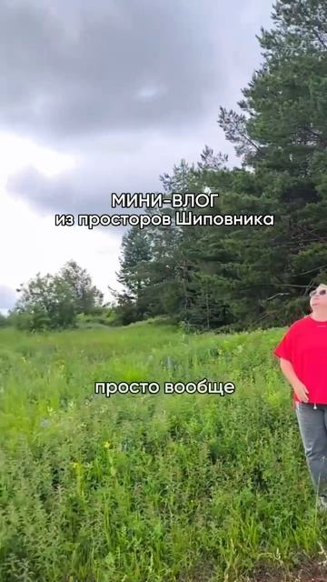 🏡 Зачем покупать землю в Перми?