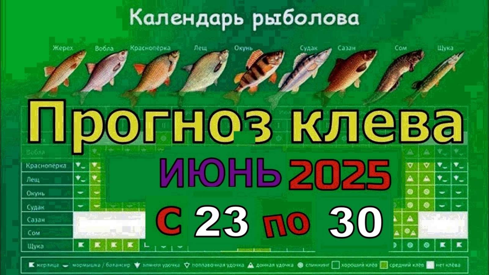 Когда лучше клюет рыба на этой неделе с 23 июня по 30 Июня 2025