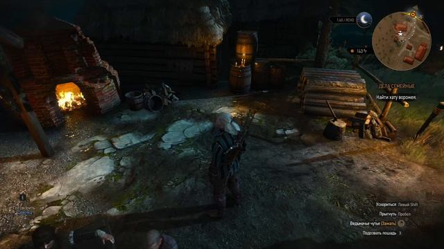 The Witcher 3 Wild Hunt #8 Ворожей