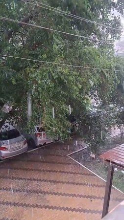 Краснодарский град. Лето истерит...