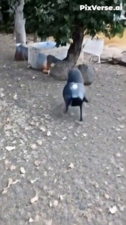 мы не знаем что это такое