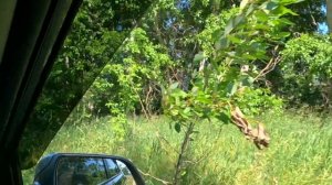 Едем на Малую Родину. д. Волгариха.