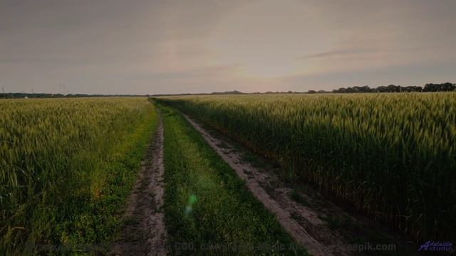 Музыка, от которой ТЕКУТ СЛЁЗЫ! - Welcome To Our Village -- PLANET WARDO -- Single Slices