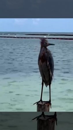 Я в первые дни на море😂