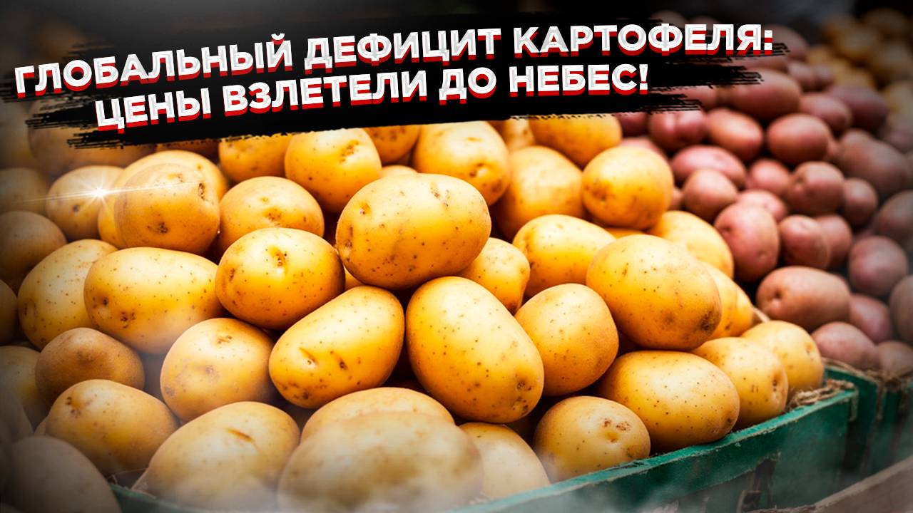 Картофельный шок:  Что происходит с ценами на картофель в России и Беларуси?