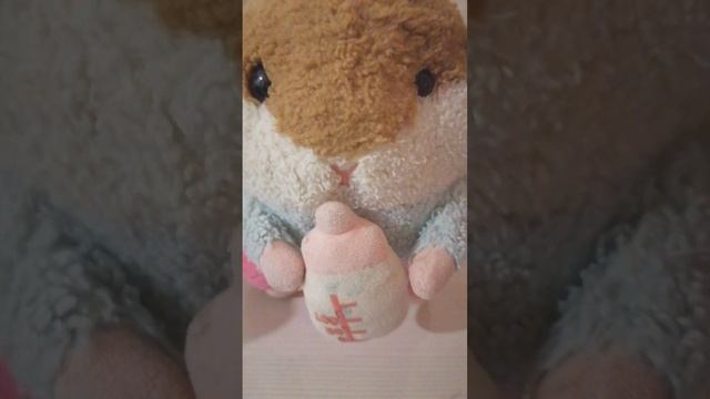 День рождения Биби🥳🥳🥳