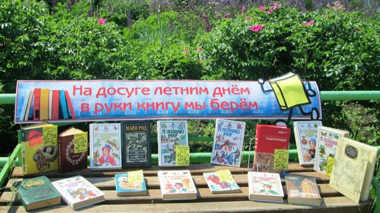 На досуге летним днем в руки книгу мы берем