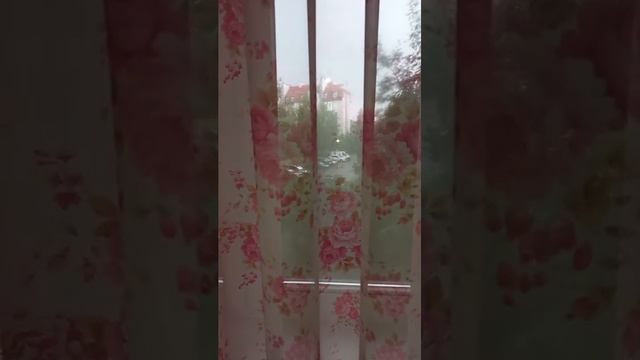 калининград